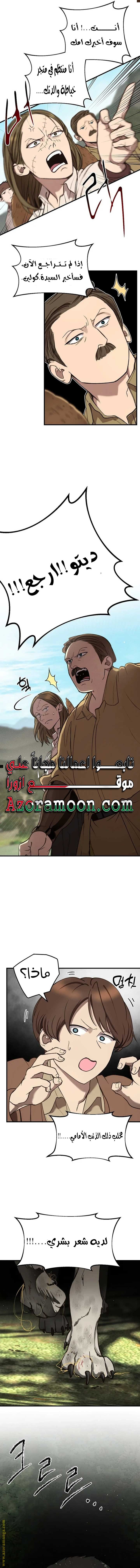 الصفحة 13