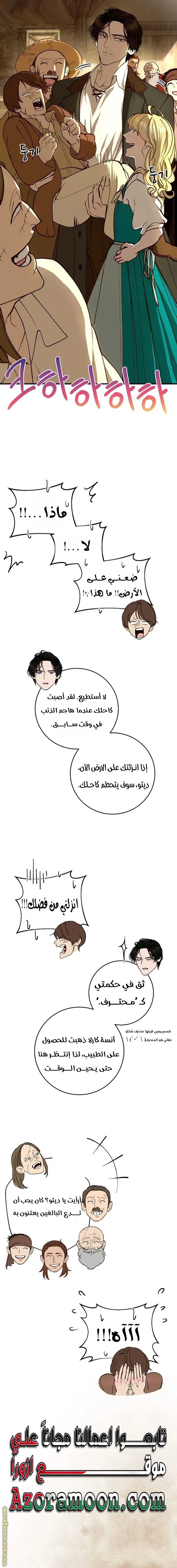 الصفحة 17