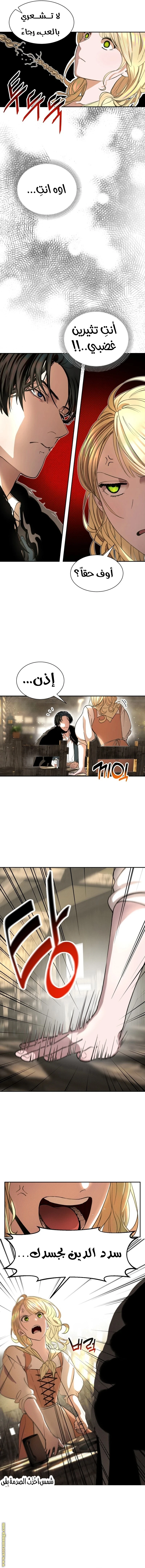 الصفحة 16