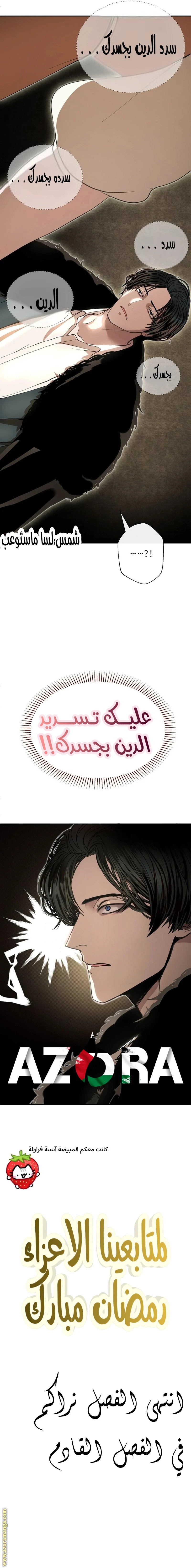 الصفحة 17