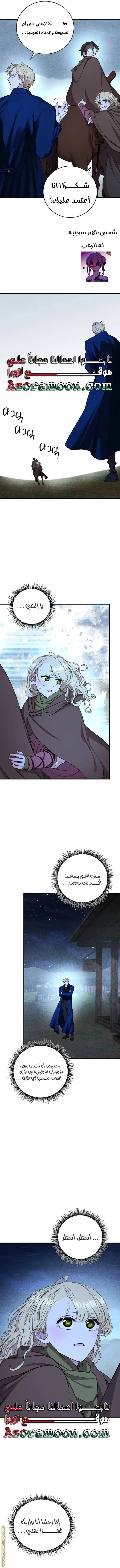 الصفحة 13
