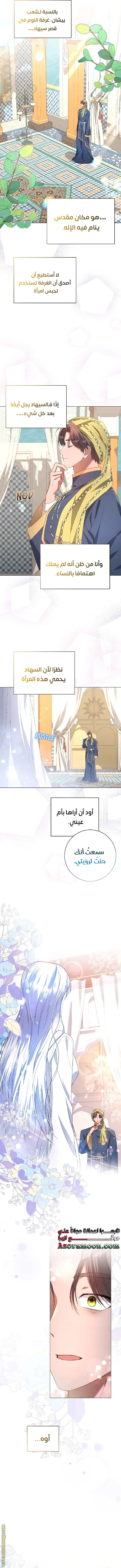 الصفحة 8