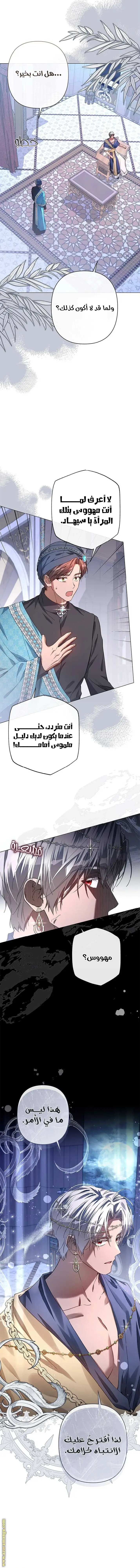 الصفحة 8