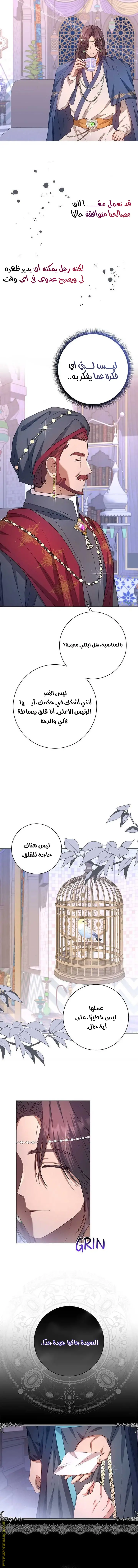 الصفحة 13