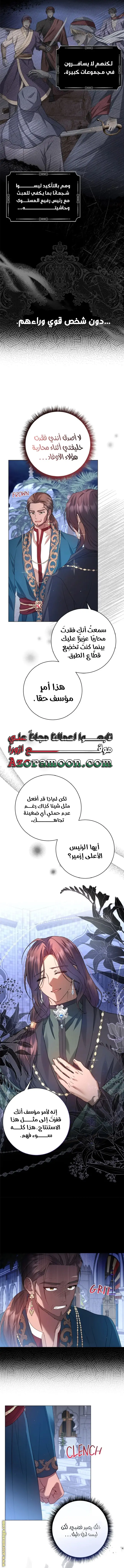 الصفحة 17