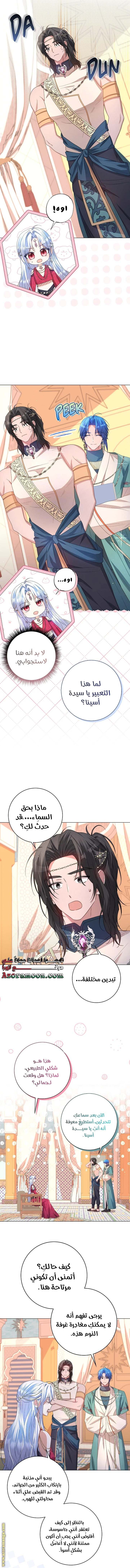 الصفحة 13