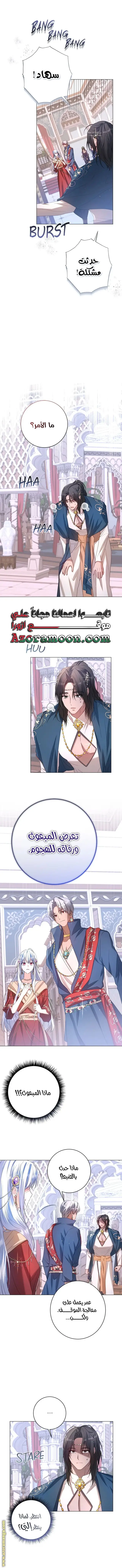 الصفحة 12