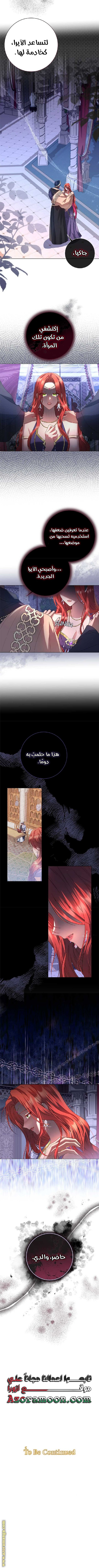الصفحة 7