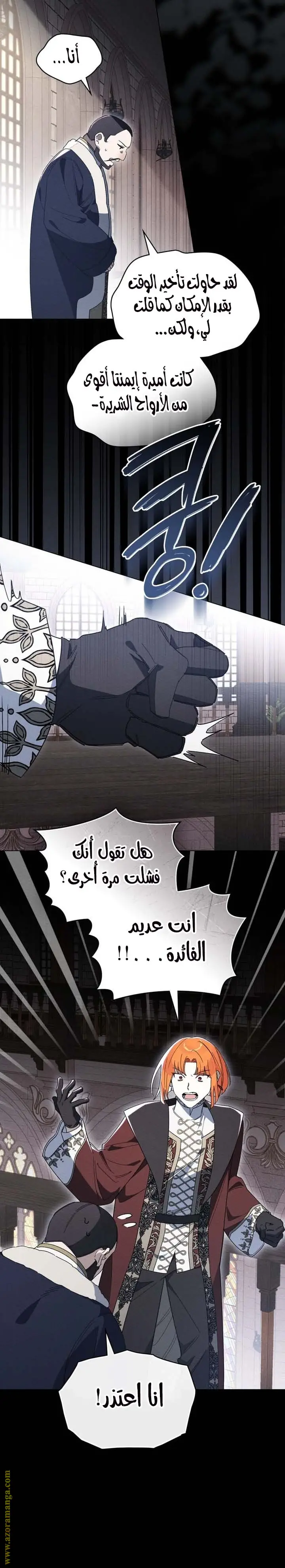 الصفحة 17