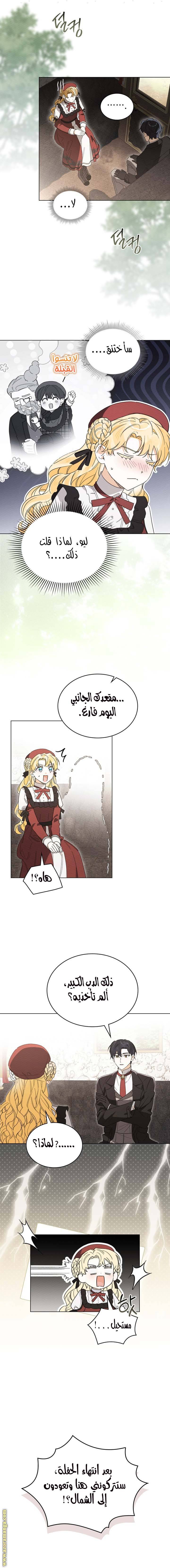 الصفحة 15