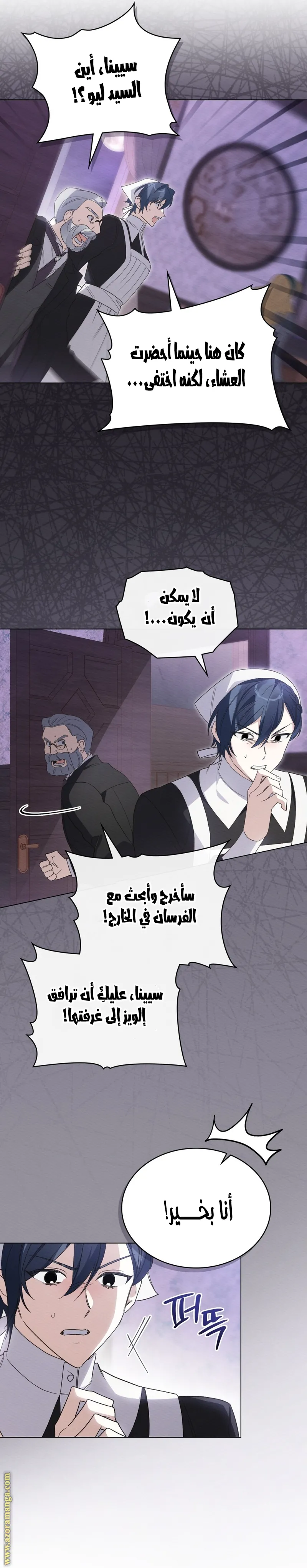 الصفحة 13