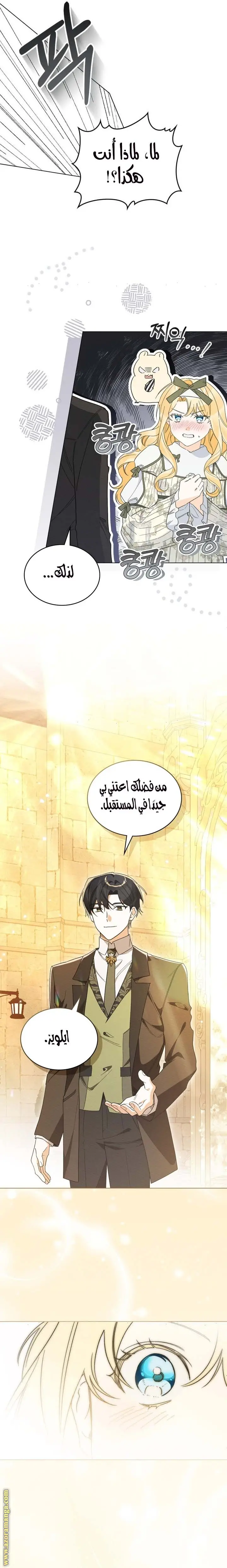 الصفحة 26