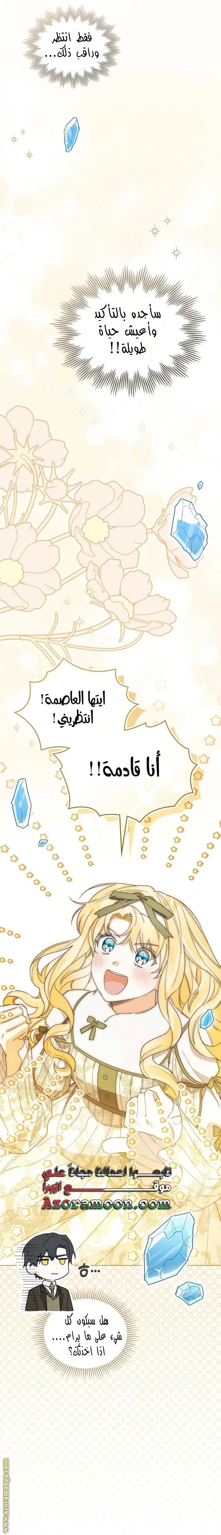 الصفحة 29