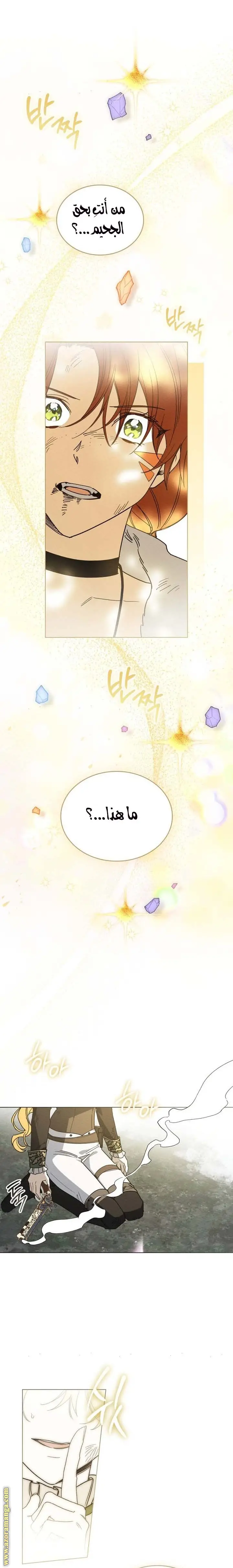 الصفحة 14