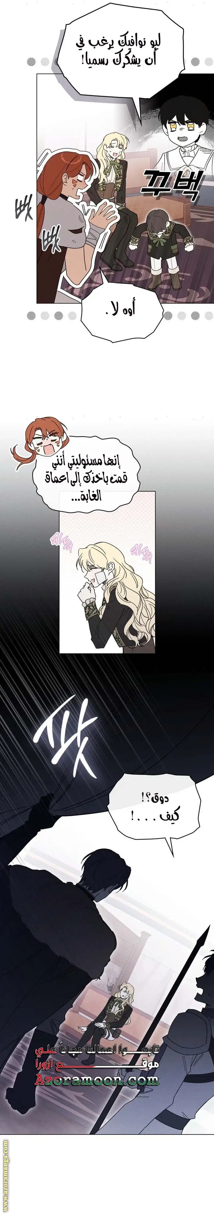 الصفحة 17
