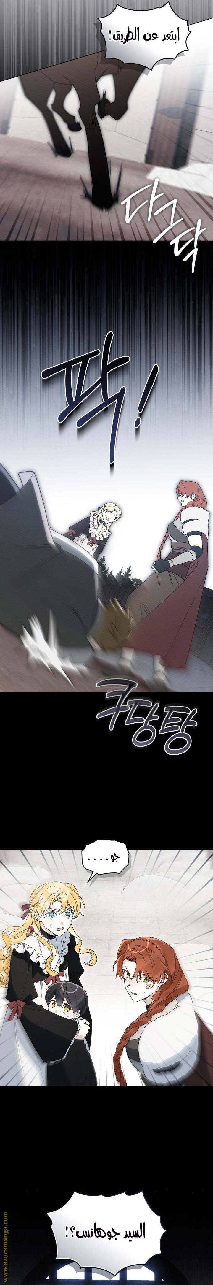 الصفحة 17