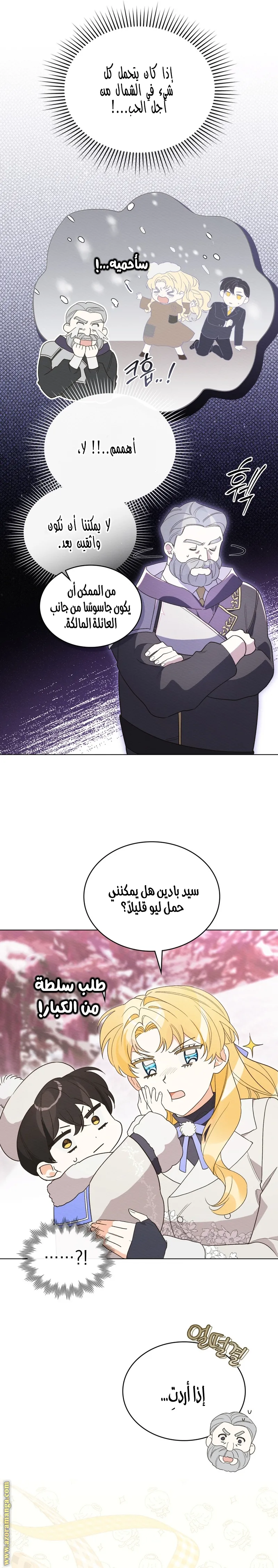 الصفحة 17