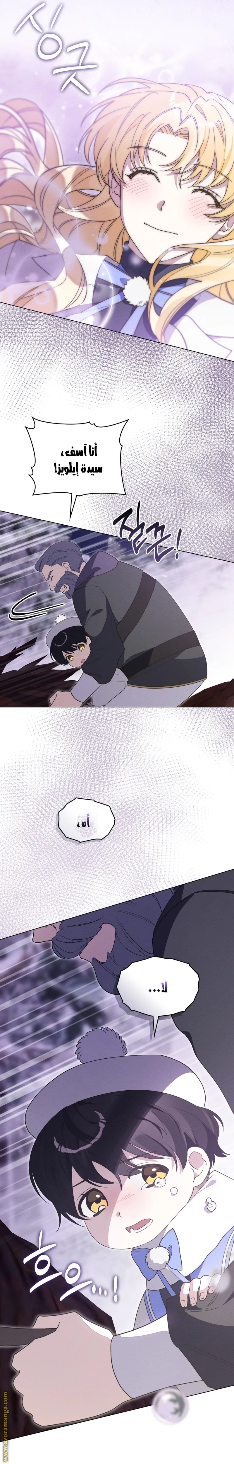 الصفحة 13