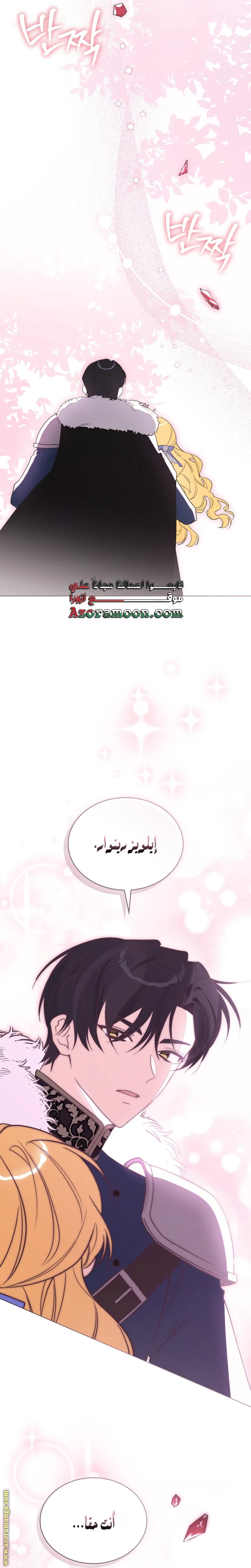 الصفحة 27