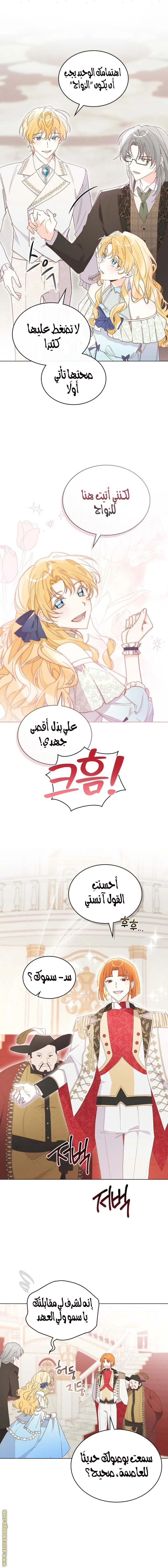الصفحة 6