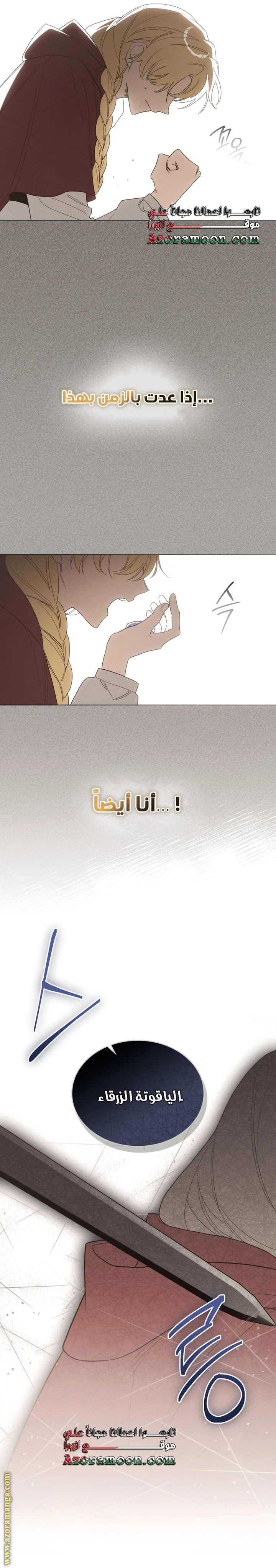 الصفحة 17