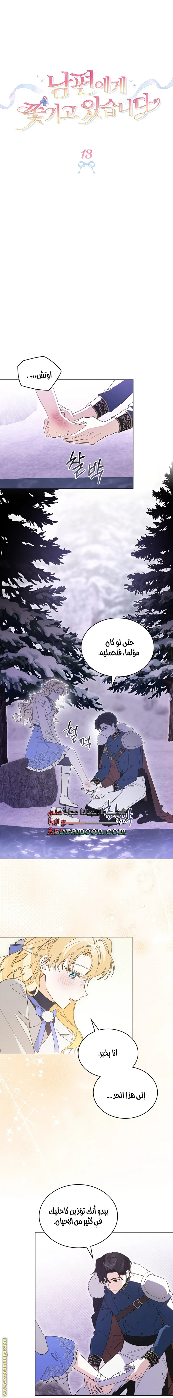 الصفحة 3