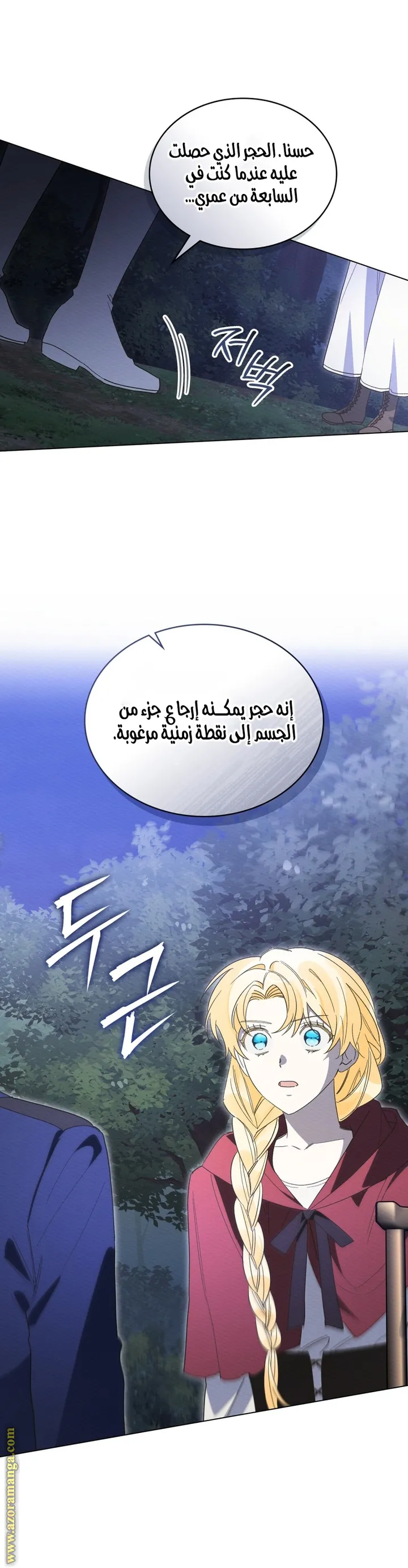 الصفحة 17