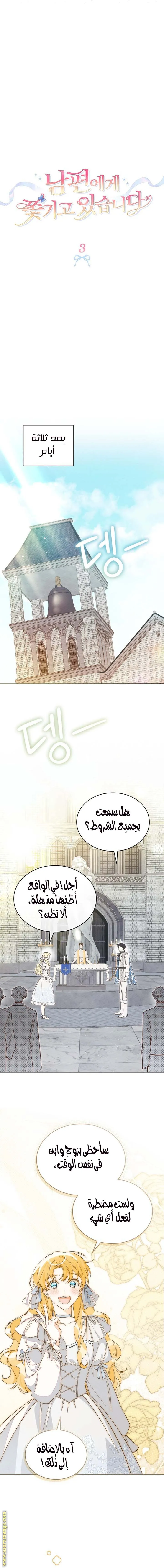 الصفحة 6