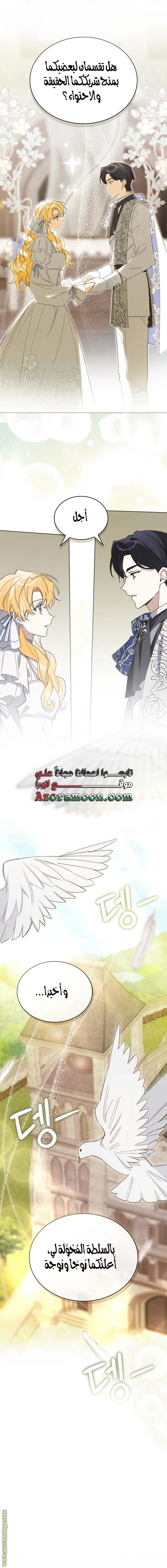 الصفحة 13