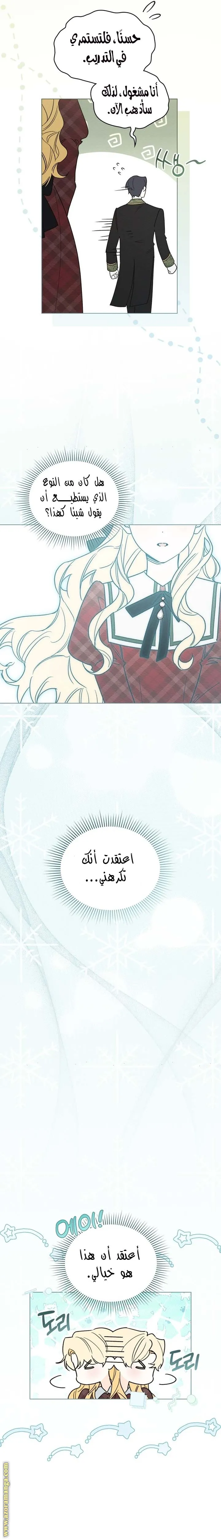 الصفحة 13