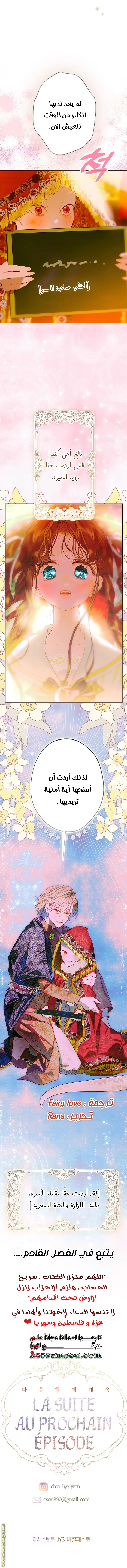 الصفحة 17