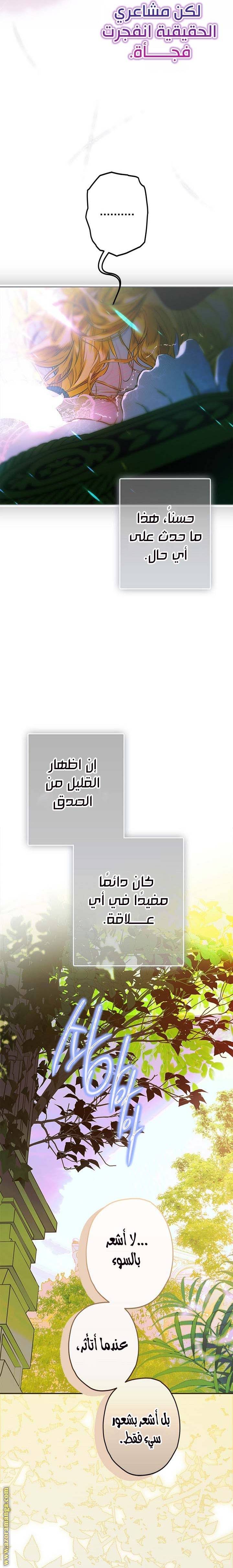 الصفحة 20