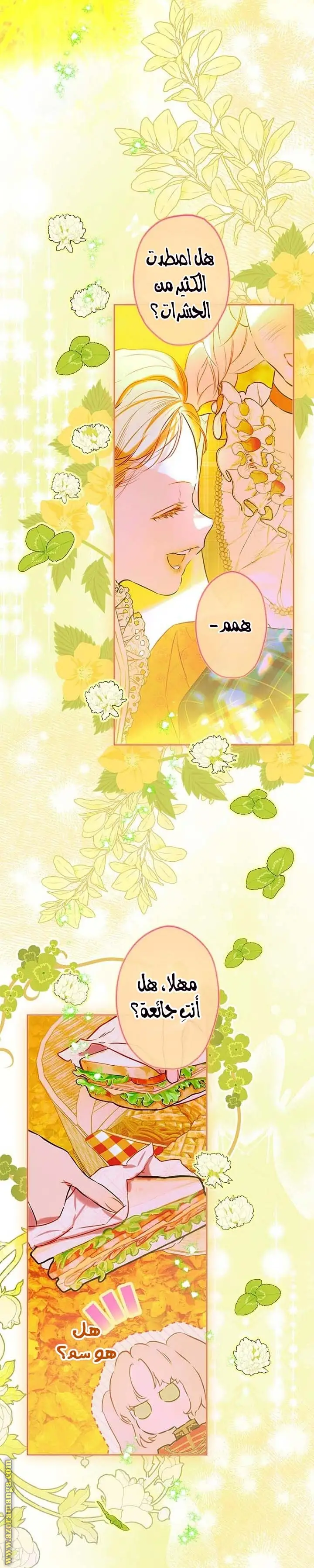 الصفحة 16