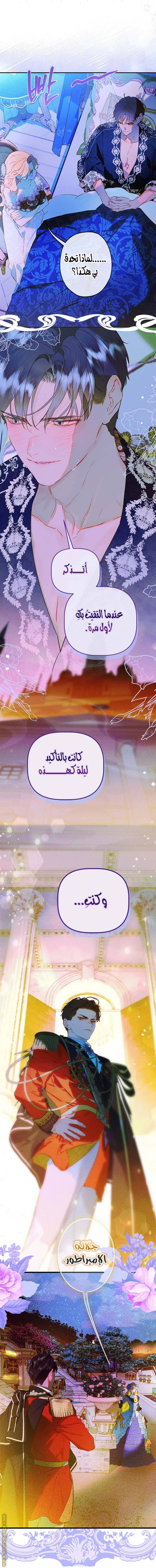الصفحة 12