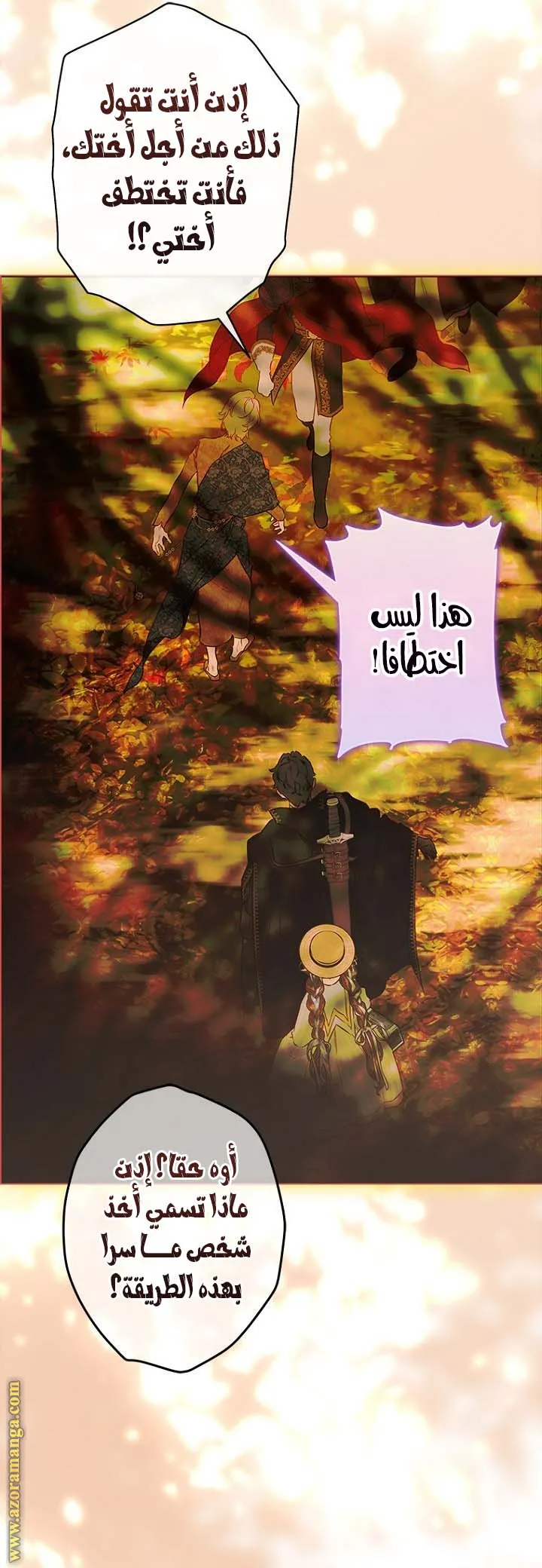 الصفحة 17