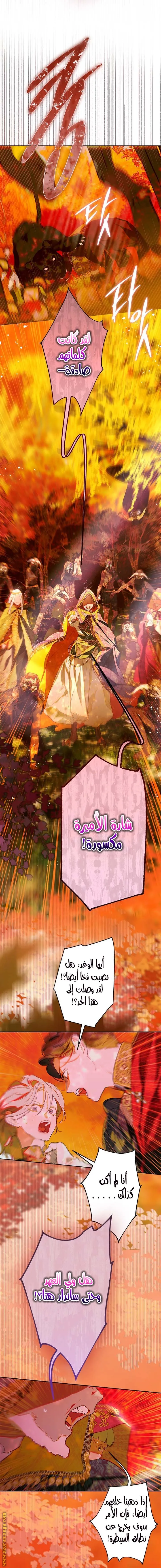 الصفحة 23