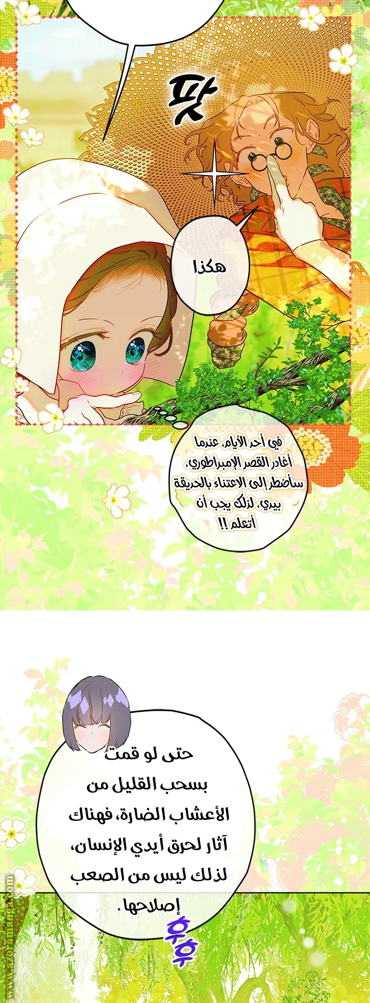 الصفحة 6