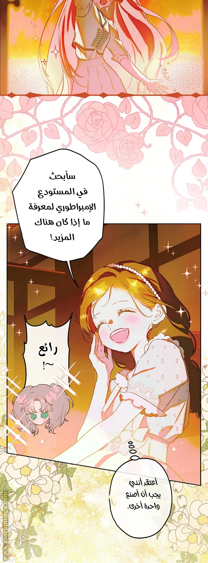 الصفحة 17