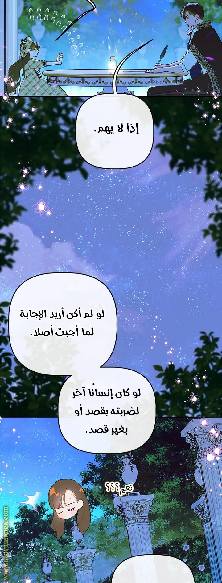 الصفحة 29