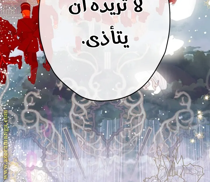 الصفحة 45