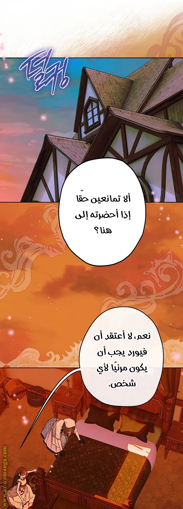 الصفحة 41