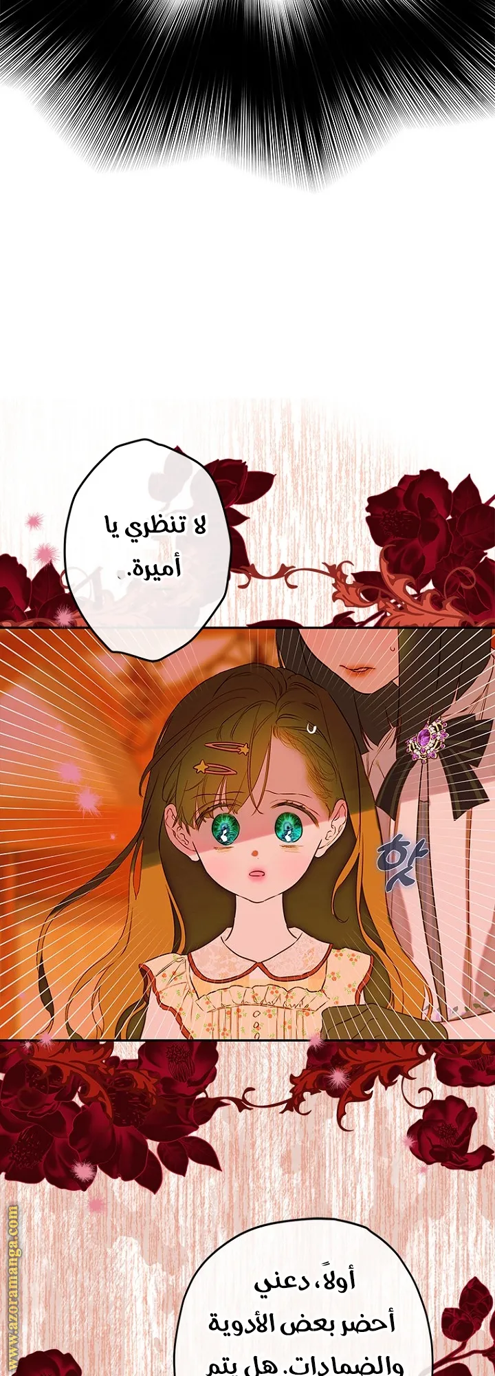 الصفحة 46