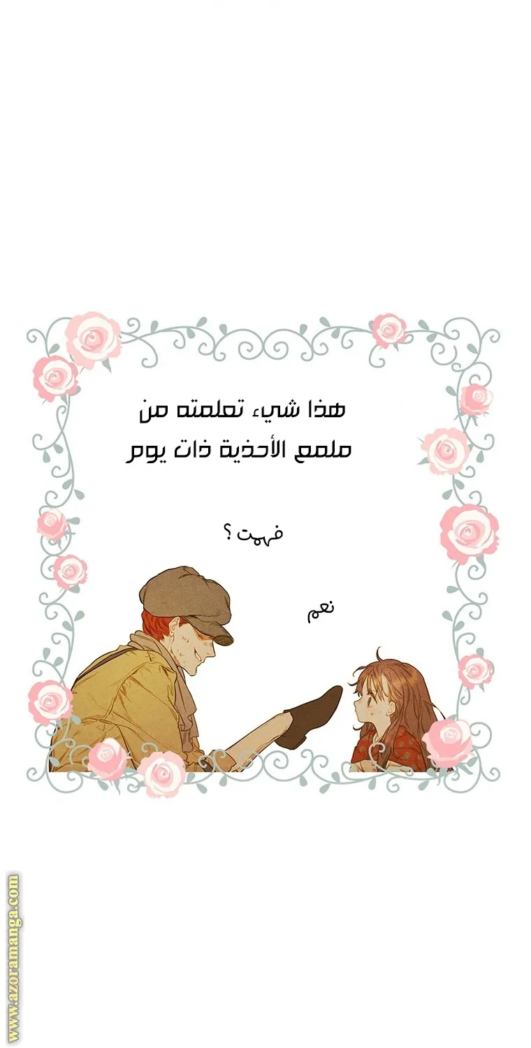 الصفحة 27