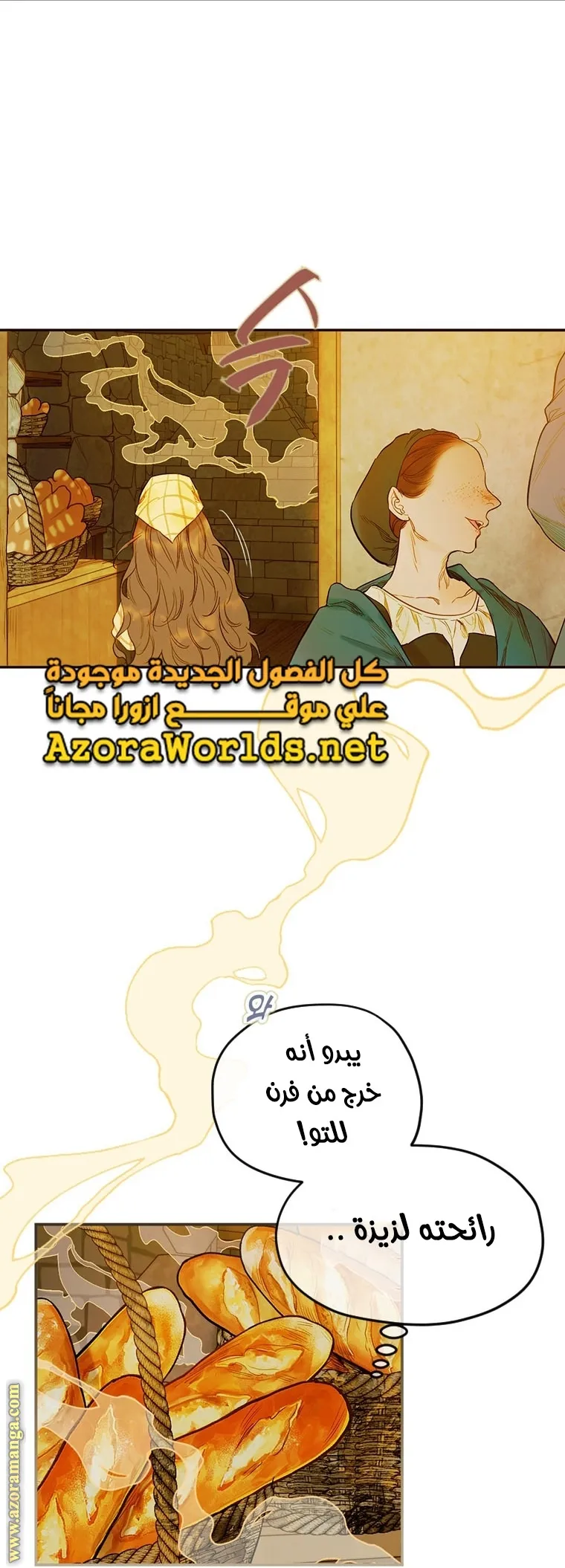 الصفحة 29