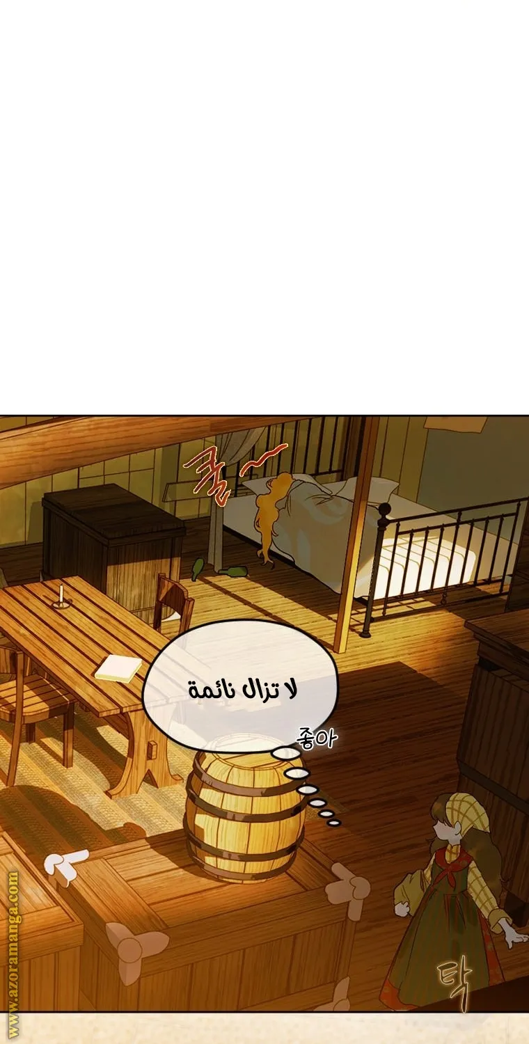 الصفحة 41