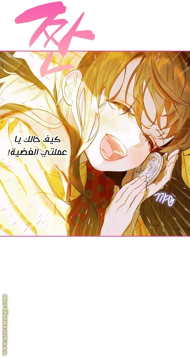 الصفحة 45