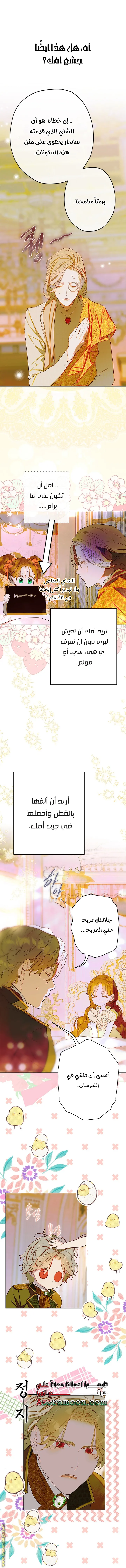 الصفحة 14