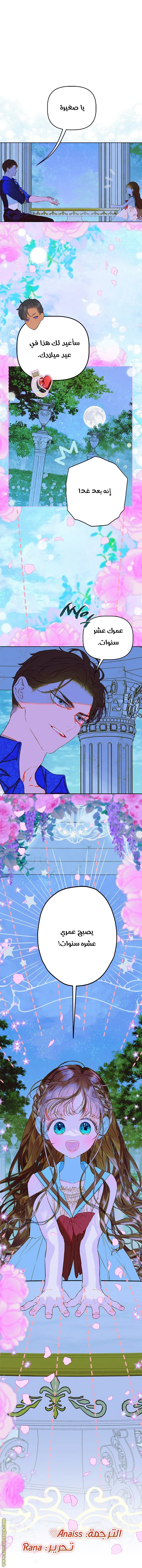 الصفحة 17
