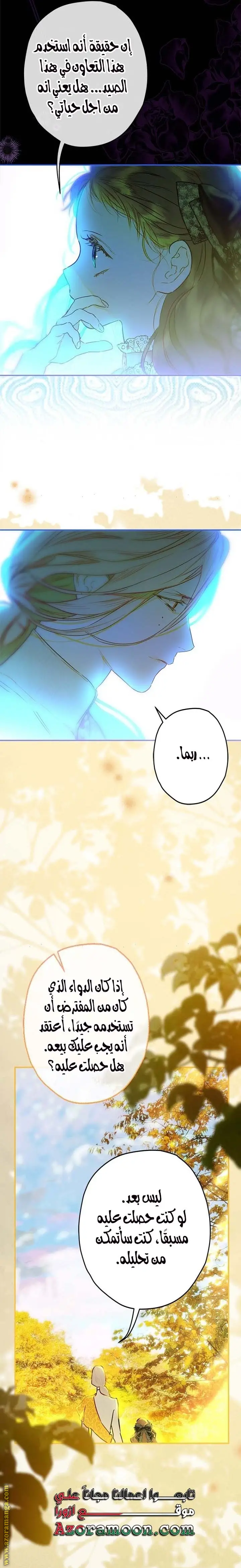 الصفحة 13