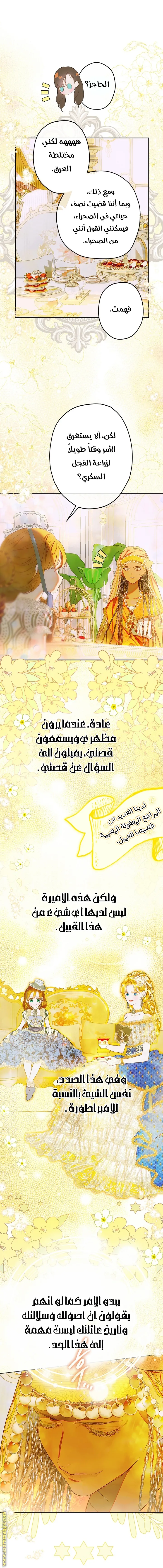الصفحة 8